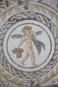 Tunisia, Tunisian Central Coast, El Jem, El Jem Museum, Roman-era mosaic
