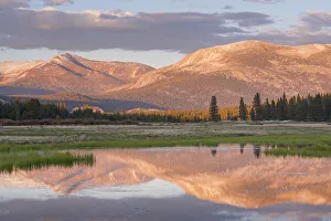 June Prints: Tuolumne Meadows at sunset, Yosemite National Park, California, USA. Spring (June) 2015