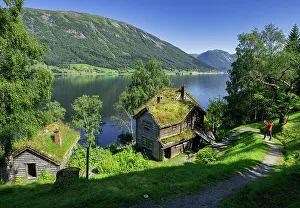 Images Dated 1st June 2023: Turist photograp Old farms with grass roof, Astruptunet, Jolster, Sunnfjord