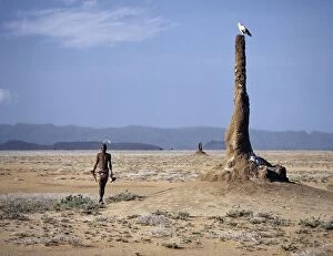 Tribesman Collection: A Turkana man strides purposefully across the treeless