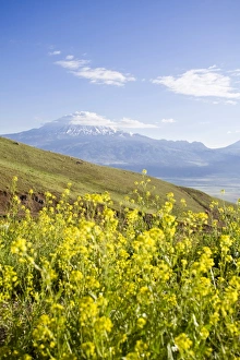 Turkey, Eastern Turkey, Dogubayazit, Mount Ararat