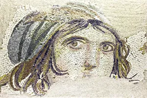 Turkey, Eastern Turkey, Gaziantep - Antep, Museum, Mosaic from Roman site of Belkis