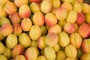 Turkey, Eastern Turkey, Malatya, Bazaar, Apricots