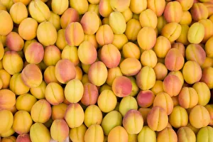 Images Dated 20th August 2008: Turkey, Eastern Turkey, Malatya, Bazaar, Apricots