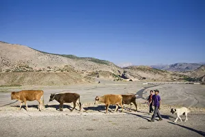Turkey, Eastern Turkey, Nemrut Dagi National Park, Cendere bridge (Roman bridge)