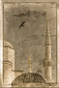 Sultanahmet Prints: Turkey, Istanbul, Sultanahmet, The Blue Mosque (Sultan Ahmed Mosque or Sultan Ahmet