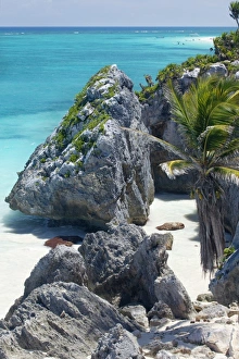 Demetrio Carrasco Gallery: Turquoise sea and beach in Tulum, Riviera Maya, Quintana Roo, Mexico