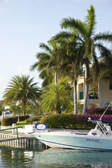 Demetrio Carrasco Gallery: Turtle Cove Marina, Providenciales, Turks and Caicos