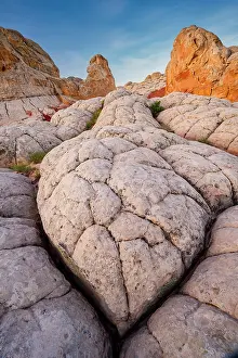 Southwest Prints: Turtle-shaped rock at White Pocket, Vermilion Cliffs National Monument, Arizona, USA