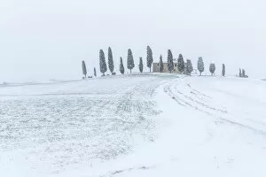 Snowy Gallery: Tuscan countryside during a blizzard, Val d Orcia, Tuscany, Italy