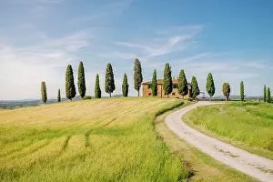 Farmhouse Prints: Tuscan farmhouse and cypress trees line a winding road through golden fields. Pienza
