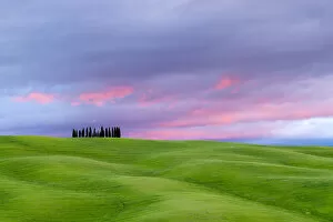 Images Dated 30th August 2019: Tuscan landscape, rolling hills with wheat fields and cypress trees at sunset, San