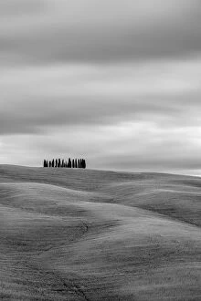 Black and White Gallery: Tuscan landscape, rolling hills with wheat fields and cypress trees, San Quirico