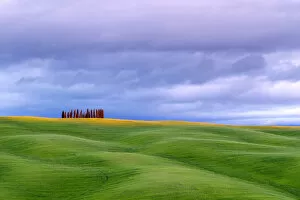 Images Dated 2nd March 2020: Tuscan landscape, rolling hills with wheat fields and cypress trees