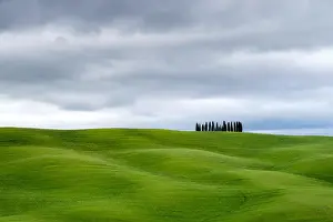 Tuscan landscape, rolling hills with wheat fields and cypress trees, San Quirico