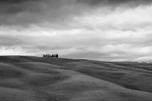 Tuscan landscape, rolling hills with wheat fields and cypress trees, San Quirico