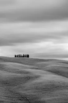 Tuscan landscape, rolling hills with wheat fields and cypress trees, San Quirico