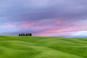 Cloudy Prints: Tuscan landscape, rolling hills with wheat fields and cypress trees at sunset, San