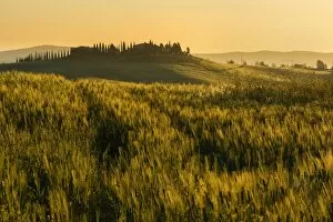 Images Dated 22nd November 2016: Tuscany hills at sunrise, Val d Orcia, Tuscany, Italy