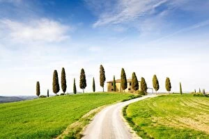 Tuscany, spring landscape, rolling hills, cypress trees. Pienza, Italy