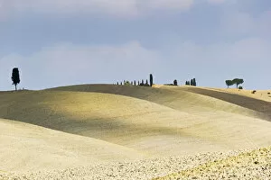 Images Dated 22nd July 2015: Tuscany, Val d Orcia, arid landscape with cypress trees