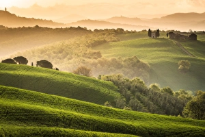 Tuscany Prints: Tuscany, Val d Orcia. Italy