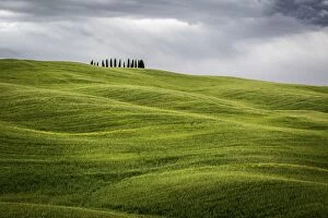 Images Dated 16th May 2014: Tuscany, Val d Orcia, Italy. Cypress trees in green meadow field with clouds gathering