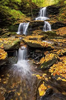 Autumn Leaf Prints: Tuscarora Falls in Autumn, Ricketts Glen State Park, Benton, Pennsylvania, USA