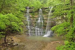 Runoff Prints: Twin Falls, Buffalo National River, Arkansas, USA