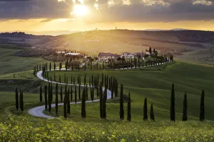 Farmhouse Prints: Twisted road in Asciano, Siena, Tuscany, Italy, Europe