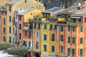 Genova Prints: Typical architecture of colored houses, Portofino, province of Genoa, Liguria, Italy