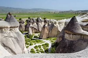 Images Dated 23rd June 2015: Typical fairy chimneys landscape in Pasabagi, Cappadocia, Turkey