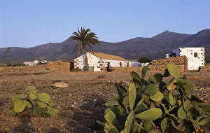 Farm House Prints: Typical farmhouse, Fuerteventura, Kanarische Inseln, Spanien