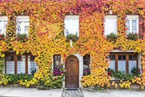 Images Dated 7th December 2015: Typical house covered with vines, Hautvilliers, Marne valley, Champagne Ardenne, France