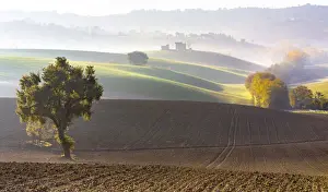 Marche Prints: Typical Marches landscape, Monte San Giusto village, Macerata district, Marche, Italy