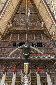 Curved Prints: Typical Tongkonan house, Rantepao, Tana Toraja, Sulawesi, Indonesia