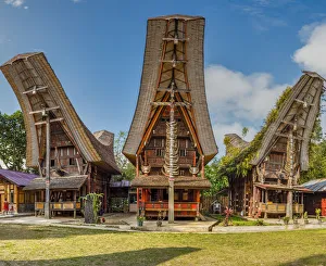 Indigenous Prints: Typical Tongkonan houses, Rantepao, Tana Toraja, Sulawesi, Indonesia