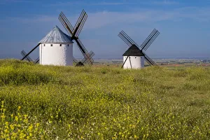 Images Dated 23rd June 2022: Typical windmills, Campo de Criptana, Castilla-La Mancha, Spain