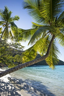 Territory Prints: U. S. Virgin Islands, St. John, Trunk Bay, Trunk Bay Beach