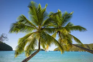 U. S. Virgin Islands, St. John, Trunk Bay, Trunk Bay Beach