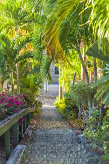U. S. Virgin Islands, St. Thomas, Charlotte Amalie, The 99 Steps
