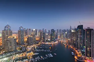 Emirate Prints: UAE, Dubai, Dubai Marina, elevated view of the marina, dusk