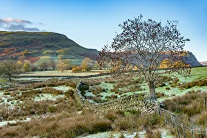 Images Dated 26th February 2019: UK, Cumbria, Lake District, Keswick, Castlerigg Fell in background