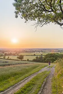 UK, England, Bedfordshire, countryside near Haynes