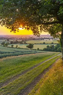 UK, England, Bedfordshire, countryside near Haynes