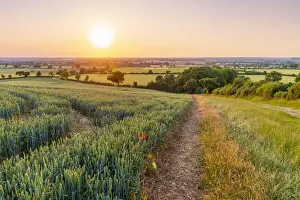 UK, England, Bedfordshire, countryside near Haynes