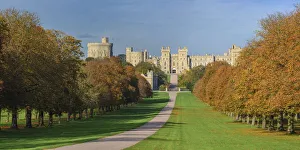 UK, England, Berkshire, Windsor, Windsor Castle, The Long Walk