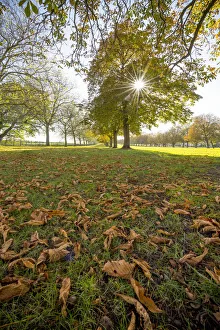 UK, England, Berkshire, Windsor, Windsor Castle, The Long Walk