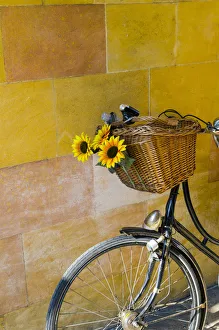 Bikes Collection: UK, England, Cambridge, Clare College, bicycle
