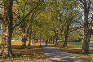 UK, England, Cambridge, Jesus Green in Autumn